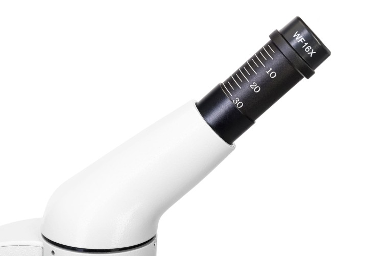 (PL) Mikroskop cyfrowy Levenhuk Rainbow D50L PLUS 2M, Moonstone\Kamień księżycowy-1439239
