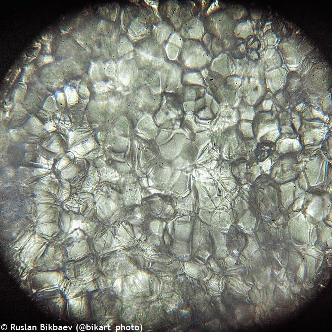 (PL) Mikroskop cyfrowy Levenhuk Rainbow D50L PLUS 2M, Moonstone\Kamień księżycowy-1439248
