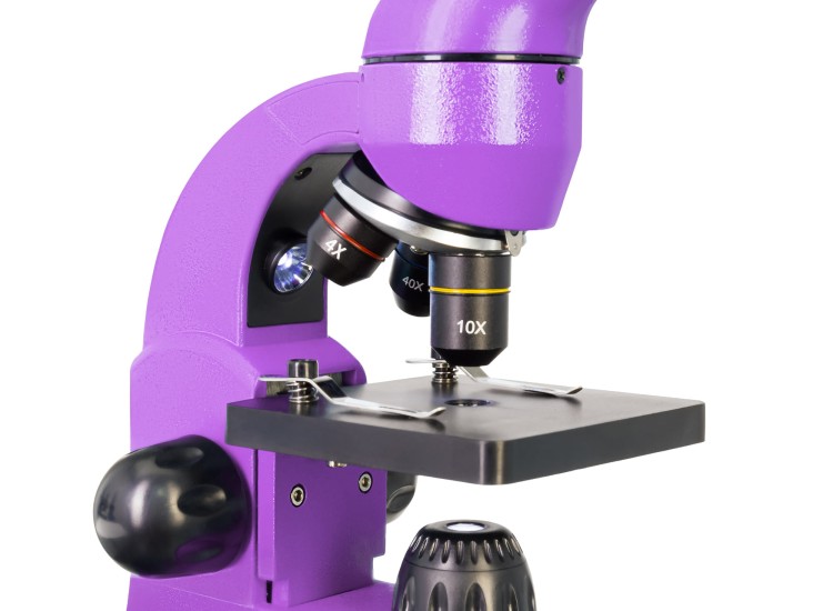 (PL) Mikroskop Levenhuk Rainbow 50L Amethyst\Ametyst-1439022