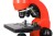 (PL) Mikroskop Levenhuk Rainbow 50L Orange\Pomarańcza-1439081