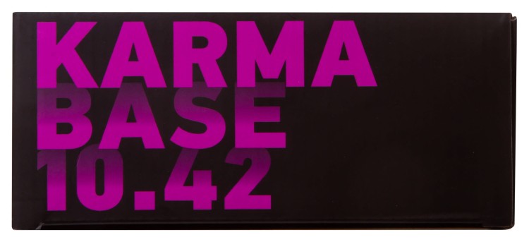 Lornetka Levenhuk Karma BASE 10x42-1435903