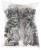 WTYK ZACISKANY BNC-W/CRIMP-RG59*P100-1352232