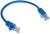 PATCHCORD RJ45/0.2-BLUE 0.2m-1348583