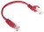 PATCHCORD RJ45/0.2-RED 0.2m-1349577