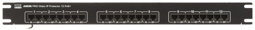 OGRANICZNIK PRZEPIĘĆ AXON-PRO-IP-12POE+-1520085