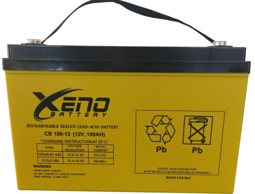 Akumulator AGM BAT Xeno 12V 100Ah-1582939