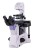 Odwrócony mikroskop biologiczny MAGUS Bio V350-1622424