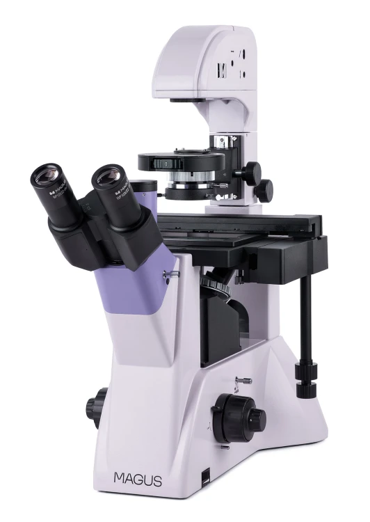 Odwrócony mikroskop biologiczny MAGUS Bio V350-1622424