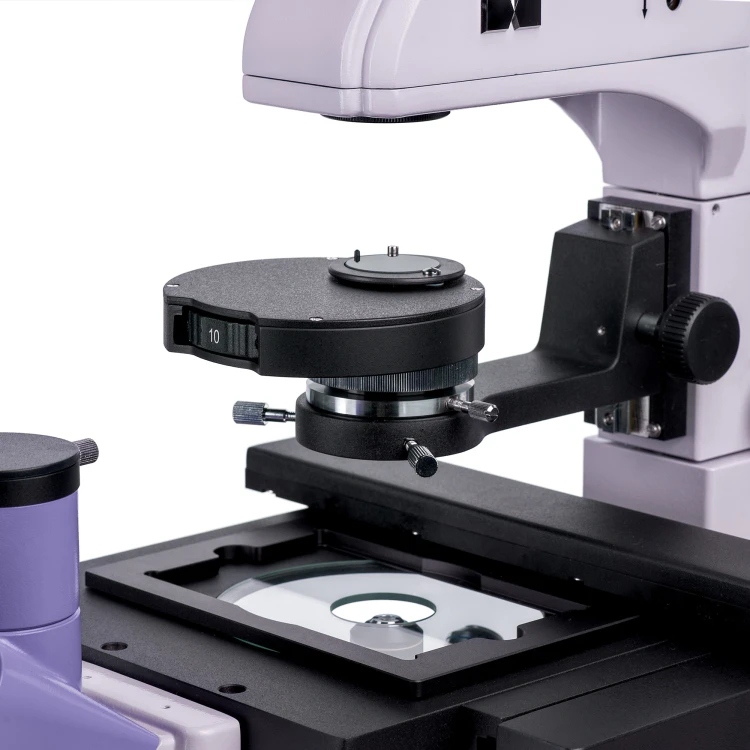 Odwrócony mikroskop biologiczny MAGUS Bio V350-1618047