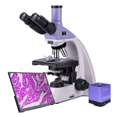 Mikroskop biologiczny cyfrowy MAGUS Bio D250TL LCD-1656880