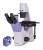 Odwrócony mikroskop biologiczny ?yfrowy MAGUS Bio VD300-1651917