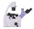 Odwrócony mikroskop biologiczny ?yfrowy MAGUS Bio VD300-1625559