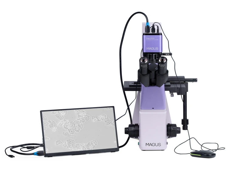 Odwrócony mikroskop biologiczny cyfrowy MAGUS Bio VD300 LCD-1656892