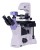 Odwrócony mikroskop biologiczny ?yfrowy MAGUS Bio VD350-1651930