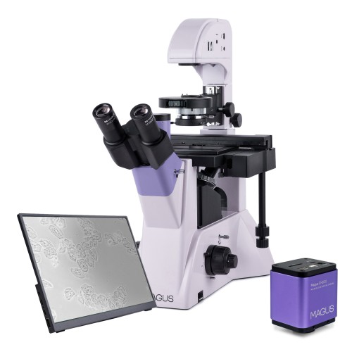 Odwrócony mikroskop biologiczny cyfrowy MAGUS Bio VD350 LCD-1661322