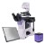 Odwrócony mikroskop biologiczny cyfrowy MAGUS Bio VD350 LCD-1661322