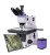 Mikroskop metalurgiczny cyfrowy MAGUS Metal D650 LCD-1684366