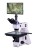 Mikroskop metalurgiczny cyfrowy MAGUS Metal D650 LCD-1684369