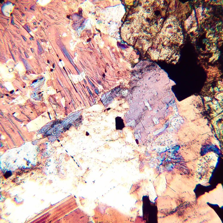 Mikroskop polaryzacyjny cyfrowy MAGUS Pol D800 LCD-1771512