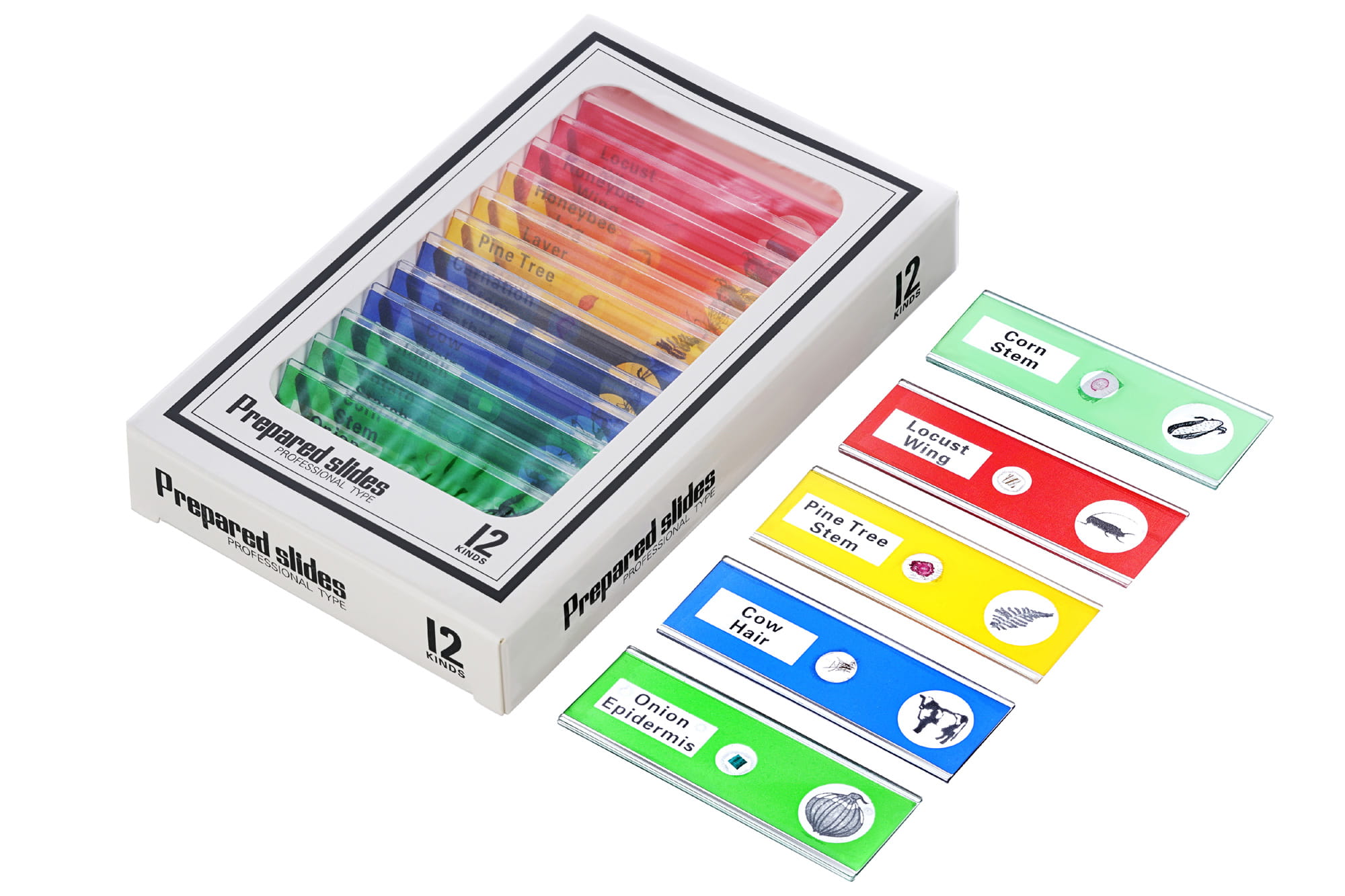 Mikroskop cyfrowy Levenhuk Rainbow DM500 LCD-1427956