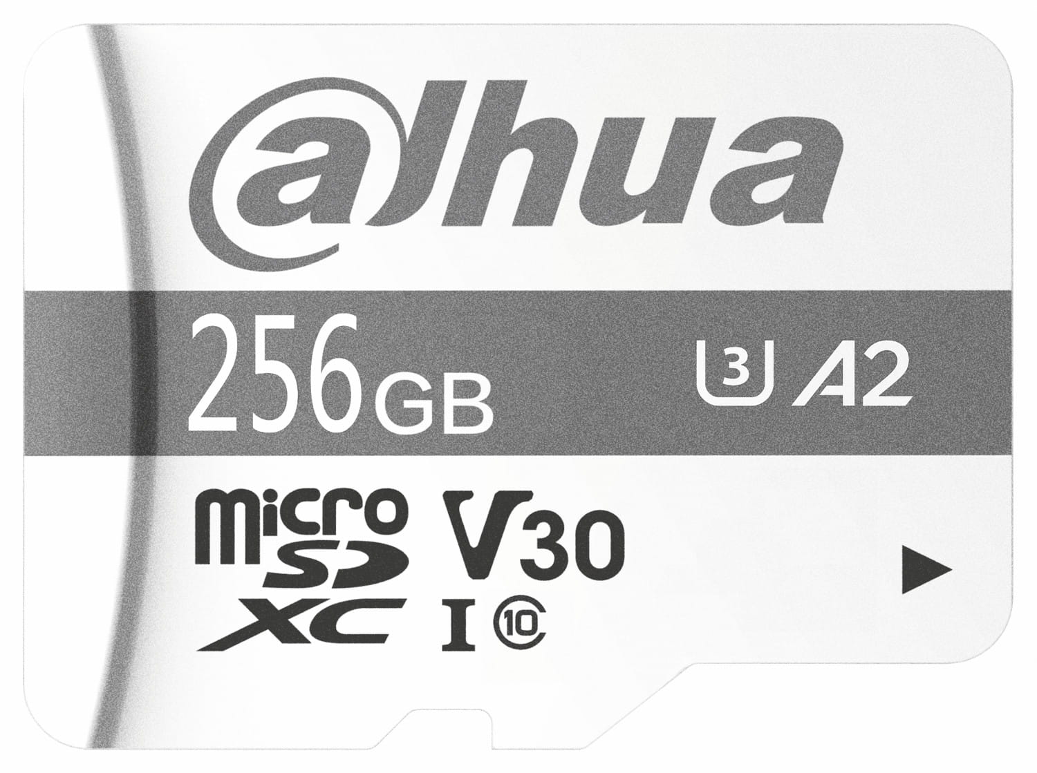 KARTA PAMIĘCI TF-P100/256GB microSD UHS-I, SDXC 256GB DAHUA-1561868