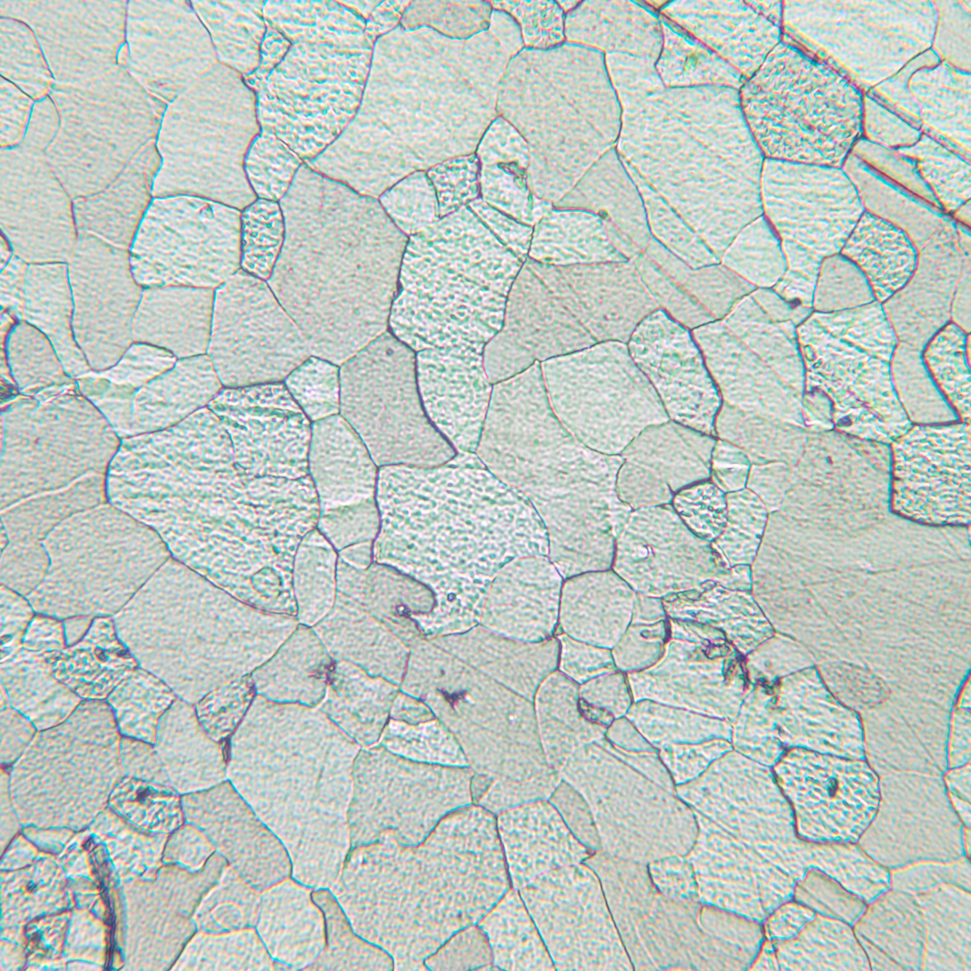 Mikroskop metalurgiczny MAGUS Metal 630-1771373