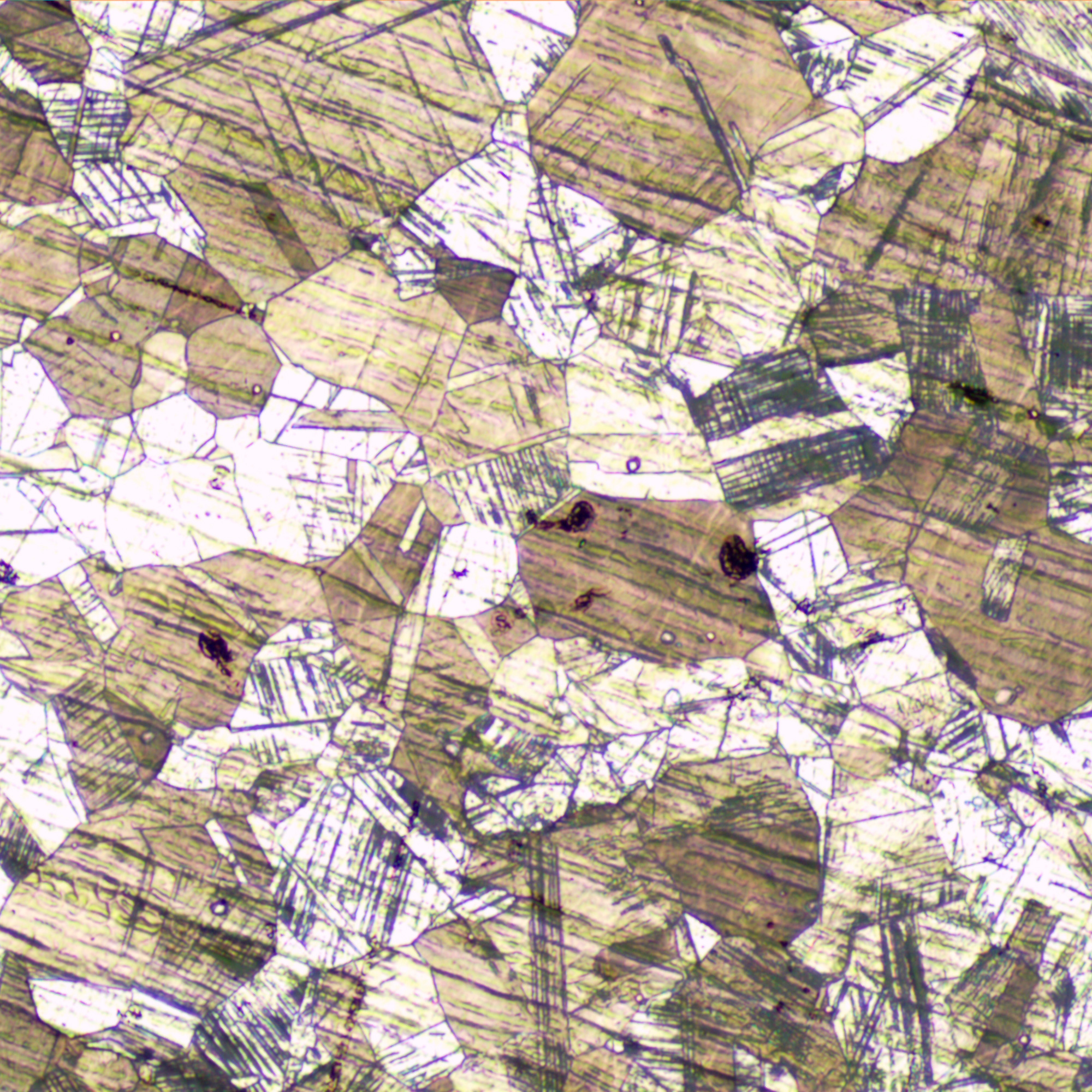 Odwrócony mikroskop metalurgiczny MAGUS Metal V700-1771388