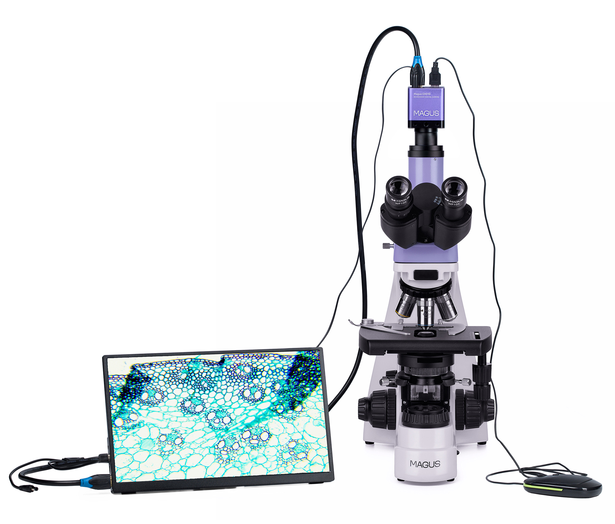 Mikroskop biologiczny MAGUS Bio D230T LCD-1656852