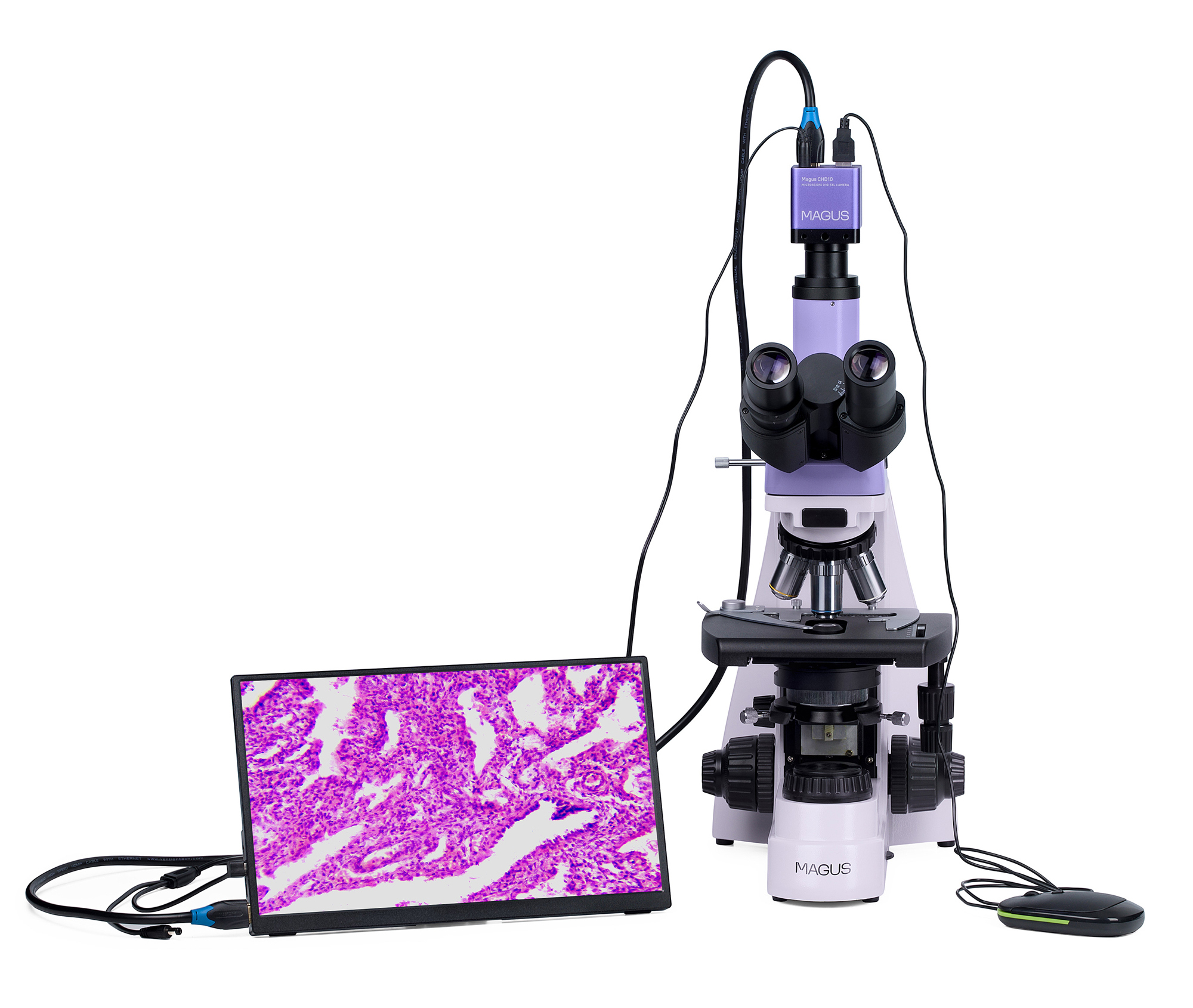 Mikroskop biologiczny cyfrowy MAGUS Bio D250TL LCD-1656882