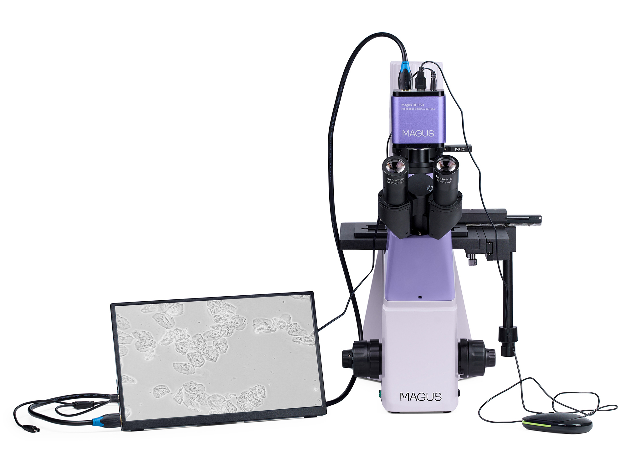 Odwrócony mikroskop biologiczny cyfrowy MAGUS Bio VD300 LCD-1656892