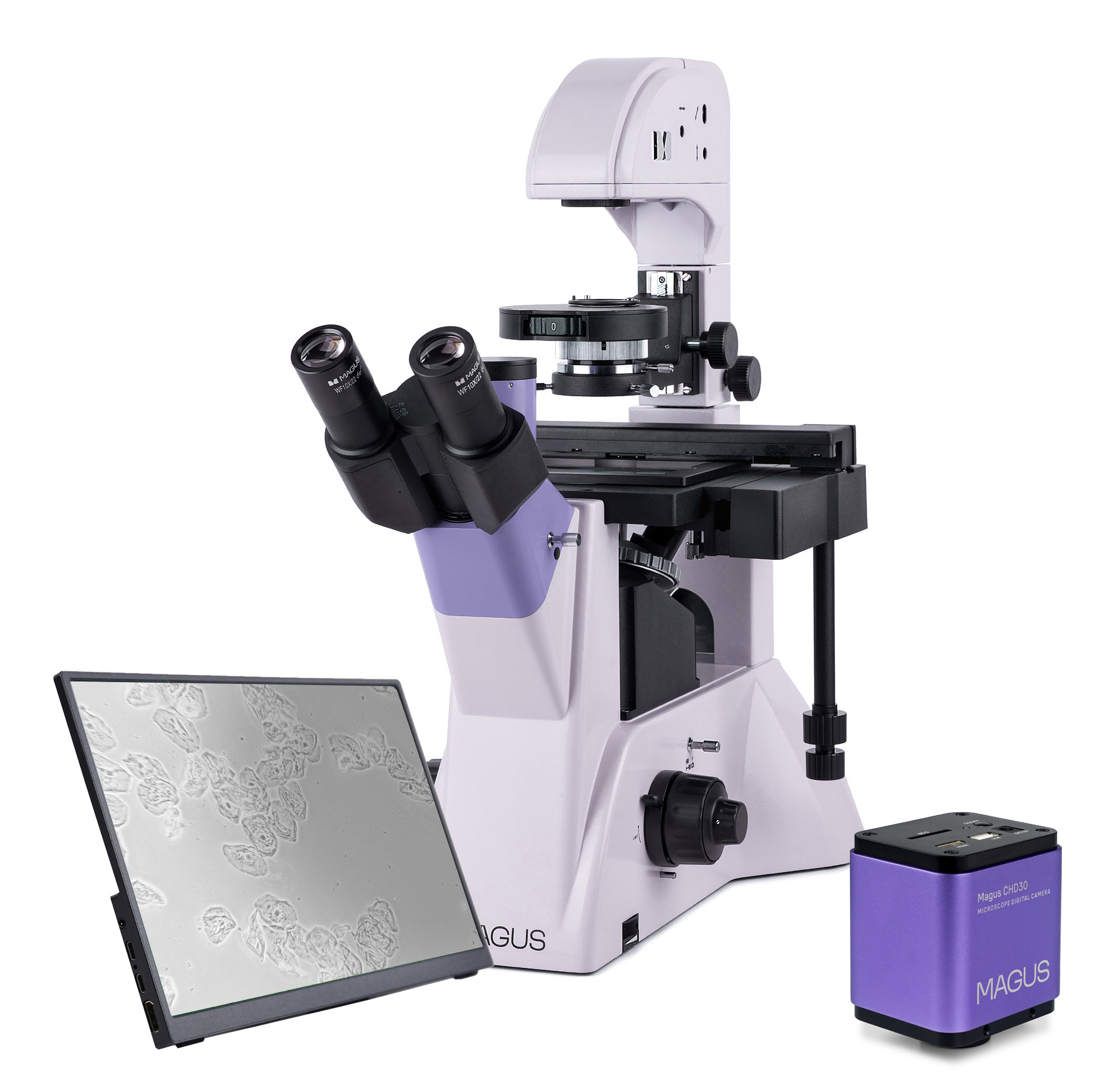 Odwrócony mikroskop biologiczny cyfrowy MAGUS Bio VD350 LCD-1661322