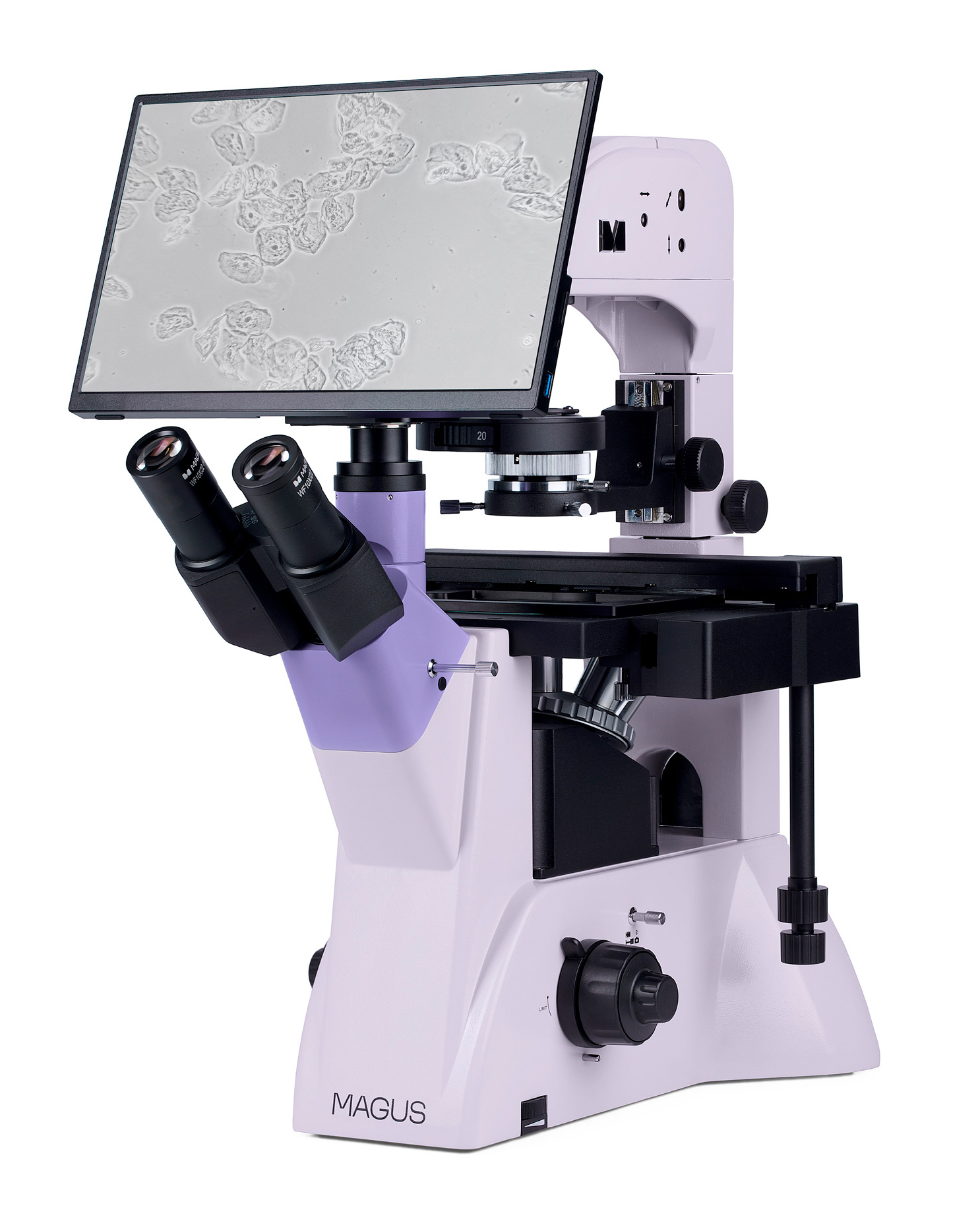 Odwrócony mikroskop biologiczny cyfrowy MAGUS Bio VD350 LCD-1661330