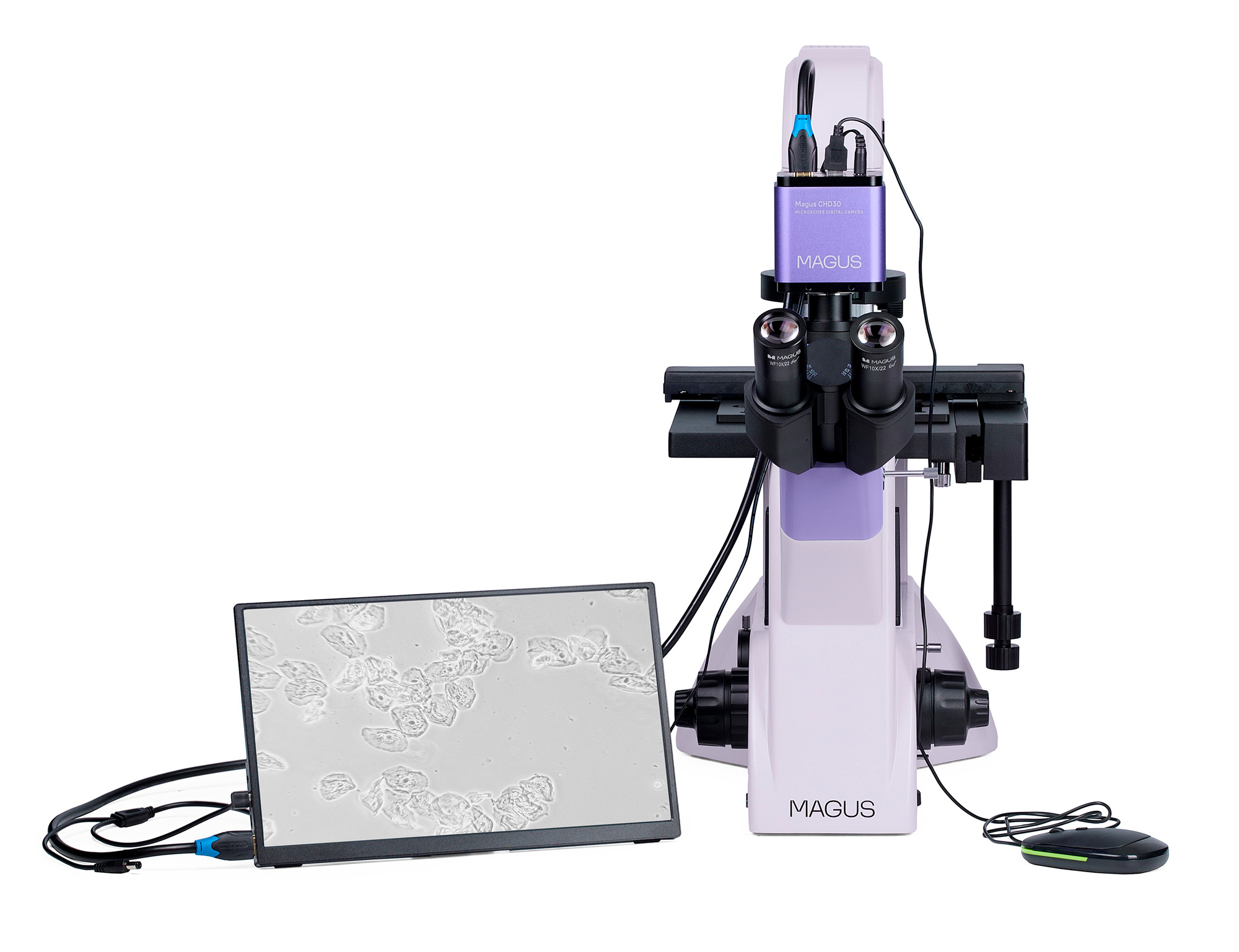 Odwrócony mikroskop biologiczny cyfrowy MAGUS Bio VD350 LCD-1661324