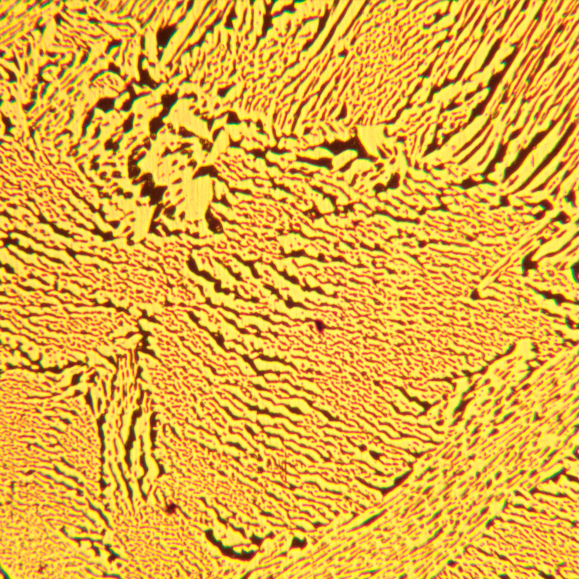 Mikroskop metalurgiczny cyfrowy MAGUS Metal D600-1771447
