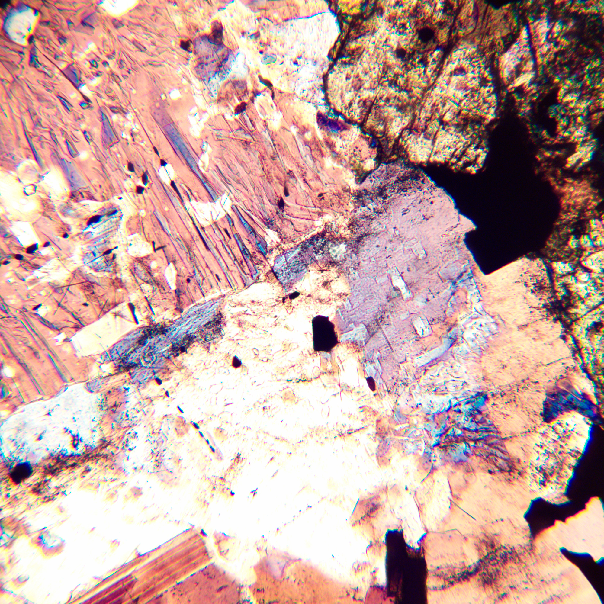 Mikroskop polaryzacyjny cyfrowy MAGUS Pol D800-1771507