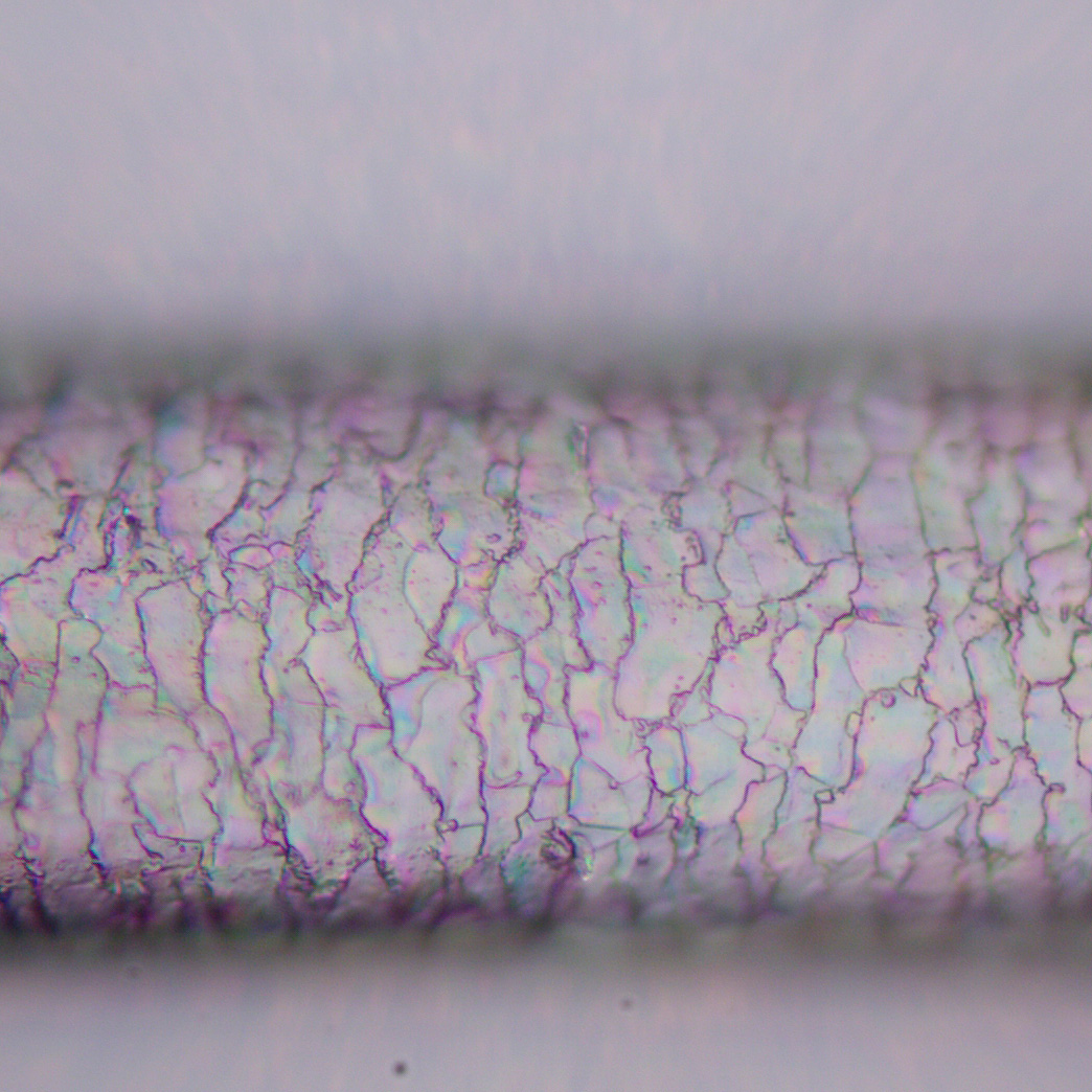 Mikroskop polaryzacyjny cyfrowy MAGUS Pol D800-1771510