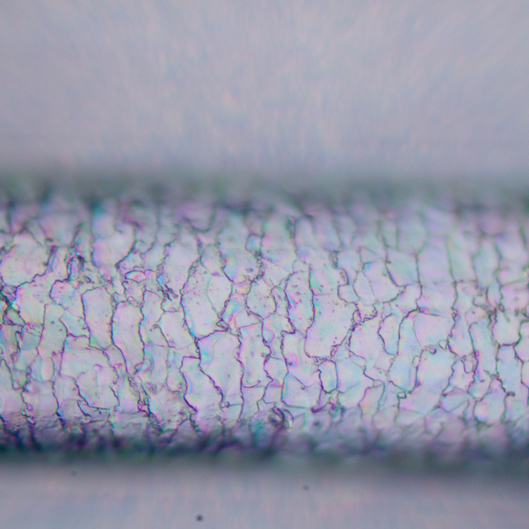 Mikroskop polaryzacyjny cyfrowy MAGUS Pol D850 LCD-1771525